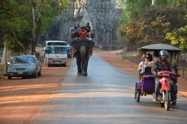 An elephant at one of the temples in Siem Reap