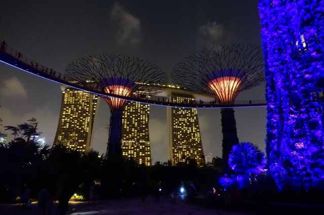 Singapore super-trees with a backdrop of Marina Bay Sands hotel.
