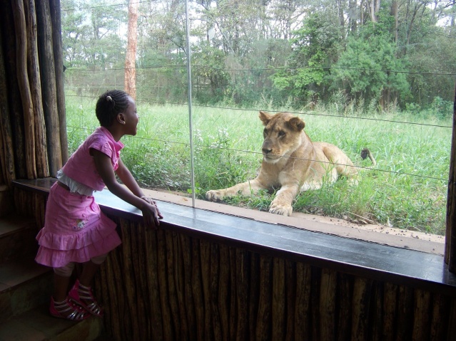 Bonding with a lion cub at Nairobi, Safari Walk.