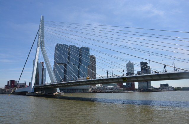 The Erasmus bridge