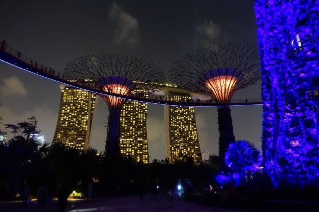 The supertrees and Marina Bay sands hotel, Singapore.