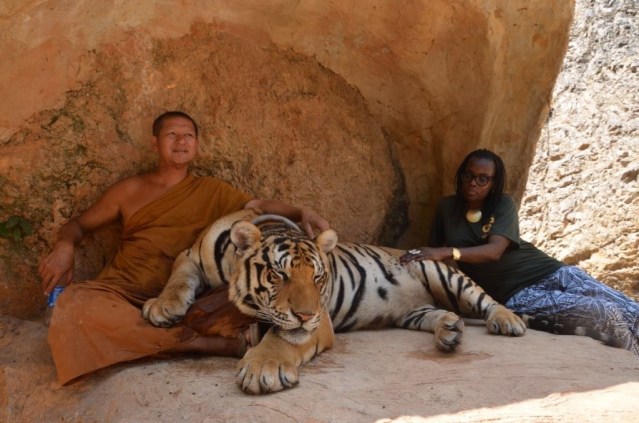 A monk and a tiger, Kanchanaburi, Thailand.